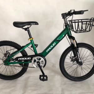 PROUD KIDS BIKE FOR BOY/GIRLS BICYCLE 20"MOUNTAIN BIKE MODEL WITH DISC BRAKE AND SUSPENSION FORK WIND