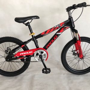 PROUD KIDS BIKE FOR BOY/GIRLS BICYCLE 20"MOUNTAIN BIKE MODEL WITH DISC BRAKE AND SUSPENSION FORK THUNDER