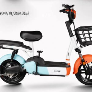 Electric bike 48V 12Ah 350W Motor